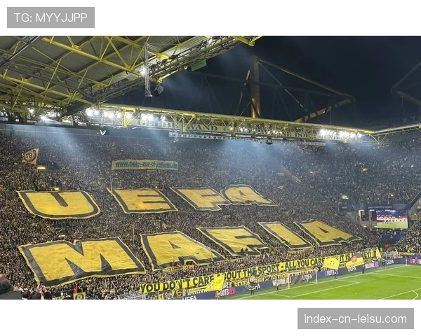 欧足联站席新规引发争议，多特蒙德南看台需整改